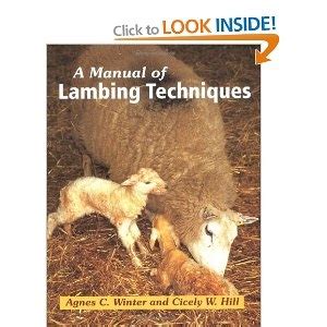 Unlock the Secrets of Successful Lambing in English: A Comprehensive Guide