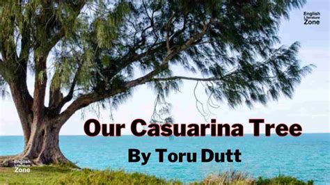 Unlock the Secrets of Your Past: A Our Casuarina Tree Summary