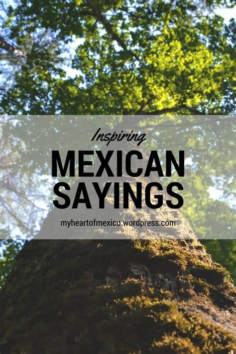 Unlock the Wisdom of Mexican Sayings: A Guide to Amplify Your Business Success