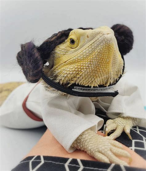 Unlock the World of Bearded Dragon Costumes: An Adventure for the Inspired