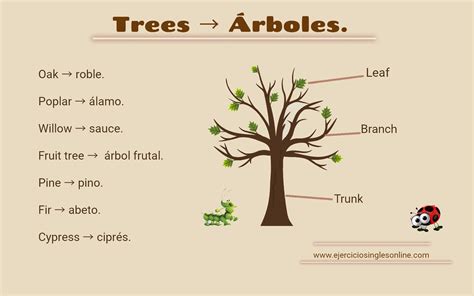 Unlock the World of Trees: Master Árboles en Inglés Effortlessly!