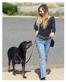 Unlocking Canine Brilliance with the Cora Doberman Studio: A Cutting-Edge Approach to Dog Training