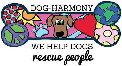 Unlocking Canine Harmony: Dog Behavioral Therapy 2025