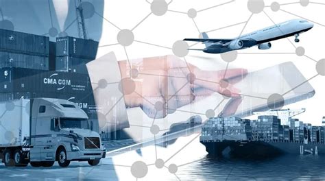 Unlocking Efficiency: How Intl Cargo Terminals Can Streamline Your Global Supply Chain