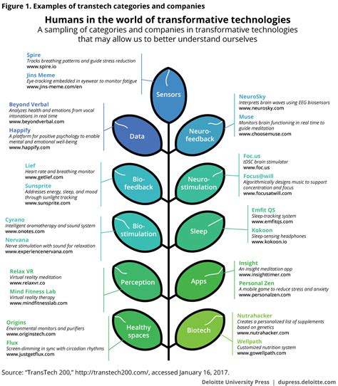 Unlocking Human Potential: The Journey of Fulfillment