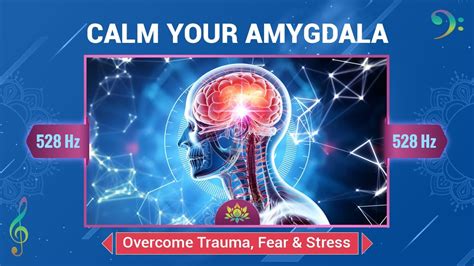 Unlocking the Amygdala's Power: The Key to Overcoming Fear and Embracing Excitement