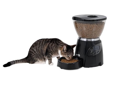 Unlocking the Benefits of OXO Automatic Cat Feeder