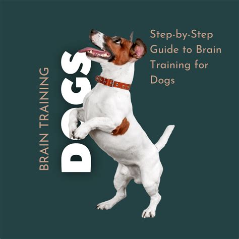 Unlocking the Canine Enigma: A Comprehensive Guide to Dog Puzzles