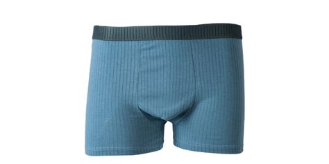 Unlocking the Comfort Zone: A Comprehensive Guide to Boxer Briefs for Men