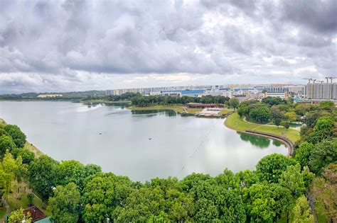 Unlocking the Enchanting Beauty of Shenton Bedok Reservoir: A Comprehensive Guide