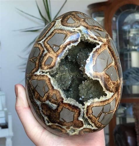 Unlocking the Enchanting World of Septarian Eggs: A Comprehensive Exploration