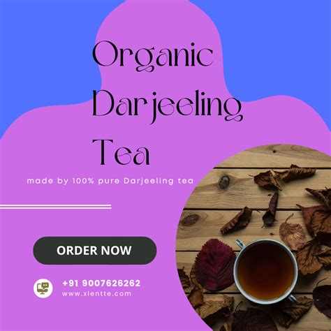 Unlocking the Essence of Tea Appreciation: A Comprehensive Guide for Singaporeans