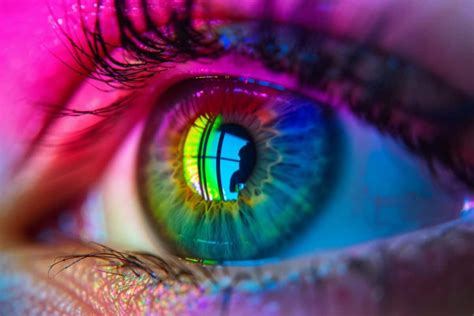 Unlocking the Extraordinary World of Color Perception