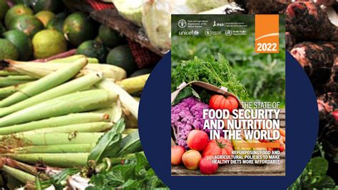 Unlocking the FSNS Portal: A Comprehensive Guide to Food and Nutrition Security