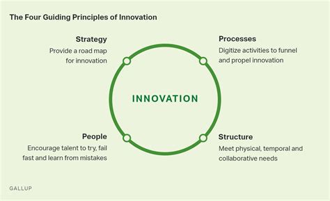 Unlocking the Gateway to Innovation: Rafael McGuire's Guiding Principles