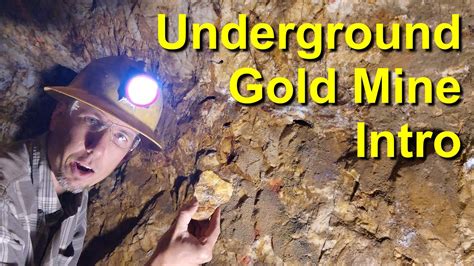 Unlocking the Gold Mine of Home Improvement with Renogold.com