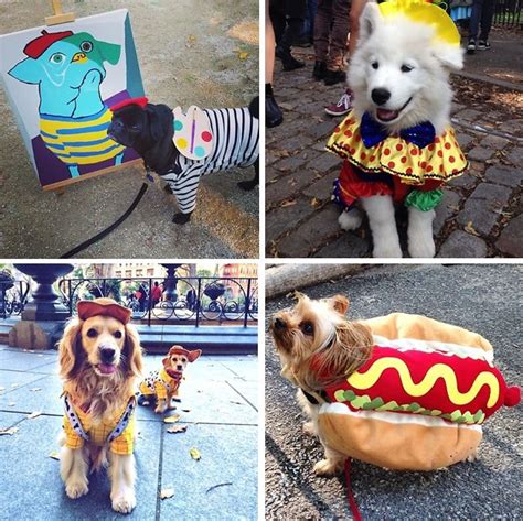 Unlocking the Magic of Canine Costumes: A Comprehensive Guide to the World of Kostüme Hunde