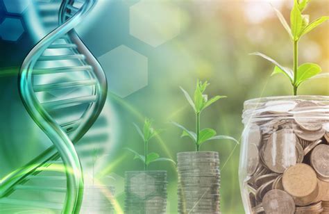 Unlocking the Potential of Biotech Stocks