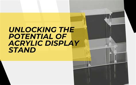 Unlocking the Potential of Display Metal Stands