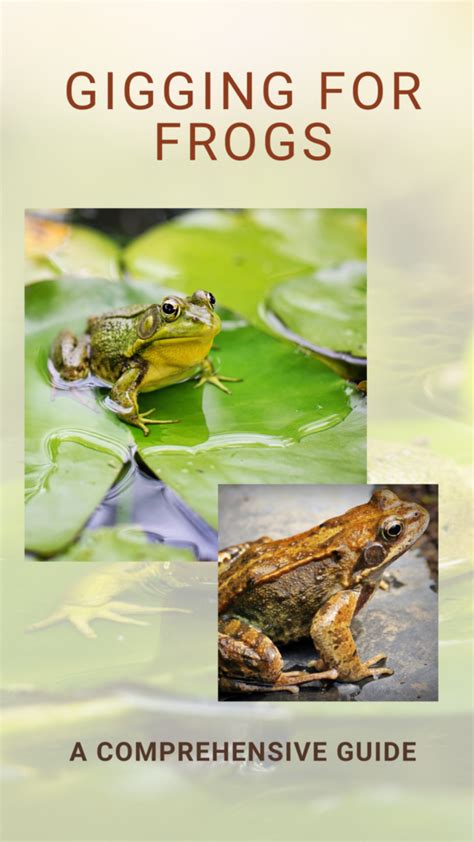 Unlocking the Potential of Frogs (青蛙pt): A Comprehensive Guide to Innovations and Applications