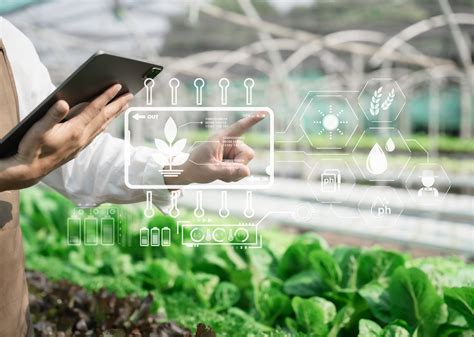 Unlocking the Potential of Modern Agriculture