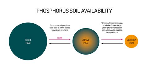 Unlocking the Potential of Phosphate Granulation