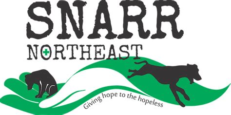 Unlocking the Potential of SNARR Northeast