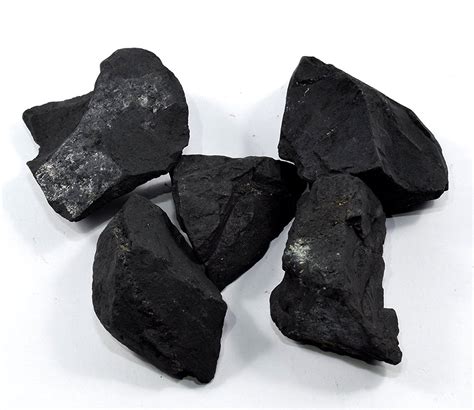 Unlocking the Potential of Shungite