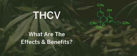 Unlocking the Potential of THCV219: A Comprehensive Guide to the Emerging Cannabinoid