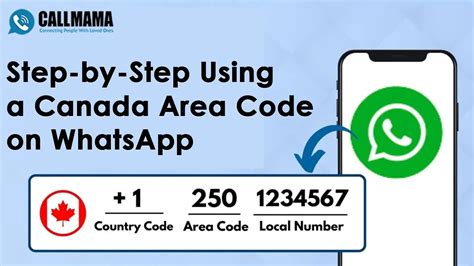 Unlocking the Potential of the 829 WhatsApp Area Code