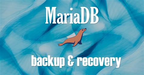 Unlocking the Power of MariaDB: A Comprehensive Guide to YourMariaCass