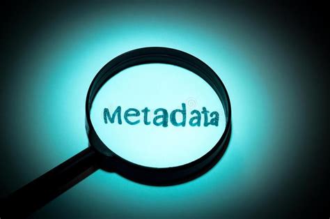 Unlocking the Power of Metadata: Your Guide to 5051100692