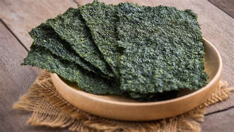 Unlocking the Power of Seaweed for Plant Health