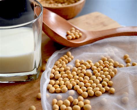 Unlocking the Power of Soy: The Ultimate Guide to Soy Sofias