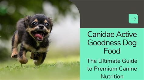 Unlocking the Secrets: Canidae Dog Food Reviews for Ultimate Pet Nutrition