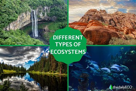 Unlocking the Secrets of 5 Diverse Ecosystems: A Comprehensive Comparison and Contrast