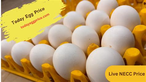 Unlocking the Secrets of Egg Prices: A Comprehensive Guide to NECC Egg Rates Today