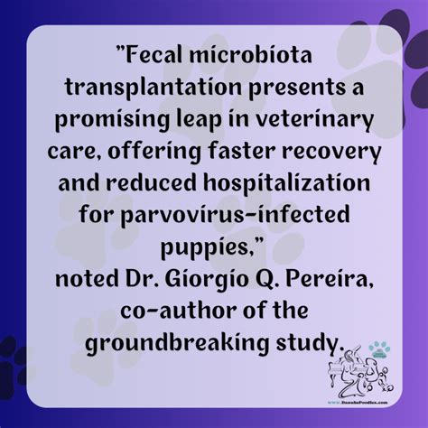 Unlocking the Secrets of Fecal Microbiota Transplantation: A Comprehensive Guide