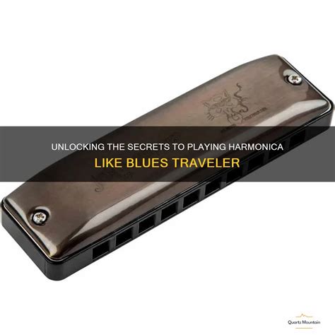 Unlocking the Secrets of Harmonica Pricing: A Comprehensive Guide for Buyers