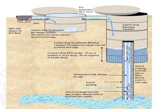 Unlocking the Secrets of Sydney Raines: A Comprehensive Guide to Rainwater Harvesting