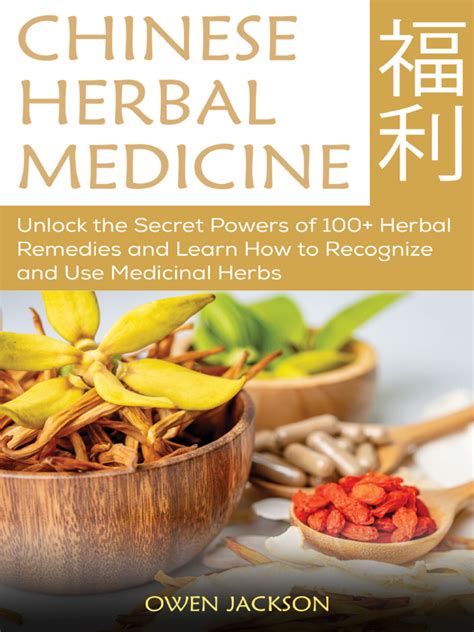 Unlocking the Secrets of Traditional Chinese Medicine: An In-Depth Exploration of Toh Yi Clinic