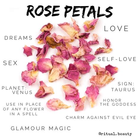 Unlocking the Therapeutic Power of Rose Petals: A Comprehensive Guide to Xrosepetalsx