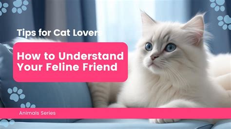 Unlocking the Value of Your Feline Friend