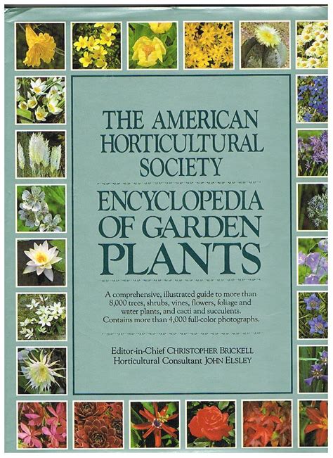 Unlocking the Wonders of Seed Bearing Plants in Your Garden: A Comprehensive Guide