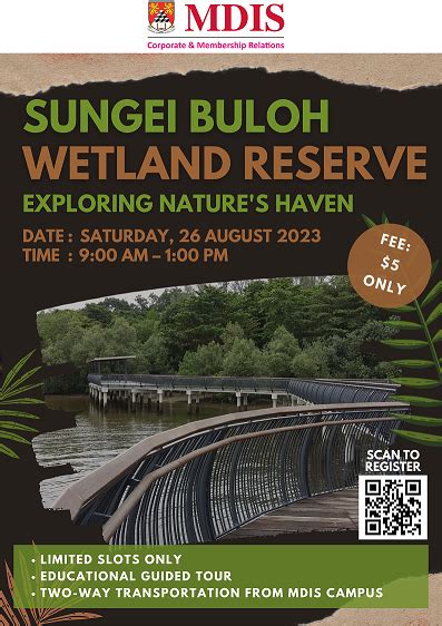 Unlocking the Wonders of Sungei Buloh Wetland: A Haven for Biodiversity and Sustainable Tourism