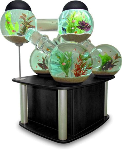 Unlocking the Wonders of Unique Fish Tanks