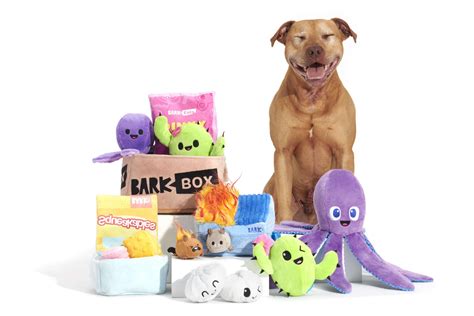 Unlocking the World of Delight: A Comprehensive Guide to Bark Box Toys