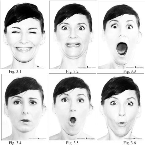 Unmasking the Face: A Guide to Recognizing Emotions From Facial Expressions Doc