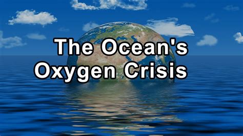 Unmasking the Vital Role of Oxygen: A Comprehensive Guide from the Oxygen Channel