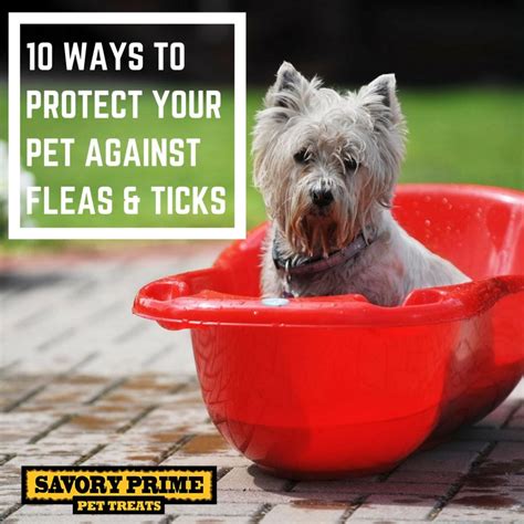 Unmatched Protection Against Fleas and Ticks